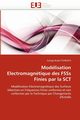 Modlisation electromagntique des fsss finies par la sct, TCHIKAYA-E