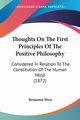 Thoughts On The First Principles Of The Positive Philosophy, Shaw Benjamin