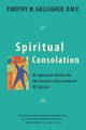 Spiritual Consolation, Gallagher Timothy M.