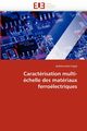 Caractrisation multi-chelle des matriaux ferrolectriques, HAJJAJI-a