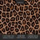 Leopard Print Scrapbook Paper Pad 8x8 Scrapbooking Kit for Cardmaking Gifts, DIY Crafts, Printmaking, Papercrafts, Decorative Pattern Pages, Crafty As Ever