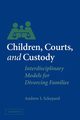 Children, Courts, and Custody, Schepard Andrew