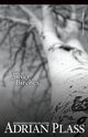 Silver Birches, Plass Adrian