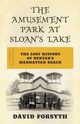 The Amusement Park at Sloan's Lake, Forsyth David