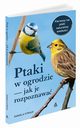 Ptaki w ogrodzie - jak je rozpoznawa, Strauss Daniela