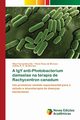 A IgY anti-Photobacterium damselae na terapia de Rachycentron canadum, Fernandes Eto Silas
