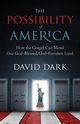 The Possibility of America, Dark David