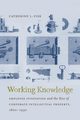 Working Knowledge, Fisk Catherine L.