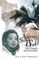Aaron and the Snowy Owl, Sheridan Jim & Ann