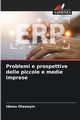 Problemi e prospettive delle piccole e medie imprese, Olawoyin Idowu