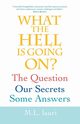 What The Hell Is Going On? The Question, Our Secrets, Some Answers, lauri M.L.