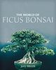 The World of Ficus Bonsai, Meislik Jerry