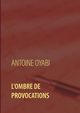 L'ombre de provocations, Oyabi Antoine
