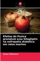Efeitos do Punica granatum e/ou Sitagliptin na nefropatia diabtica em ratos machos, Mohamed Hanan