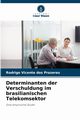 Determinanten der Verschuldung im brasilianischen Telekomsektor, Vicente dos Prazeres Rodrigo