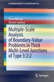 Multiple-Scale Analysis of Boundary-Value Problems in Thick Multi-Level Junctions of Type 3, Mel'nyk Taras