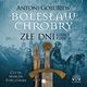 Bolesaw Chrobry Ze dni, Goubiew Antoni