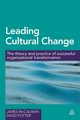 Leading Cultural Change, McCalman James