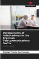 Determinants of Indebtedness in the Brazilian Telecommunications Sector, Vicente dos Prazeres Rodrigo