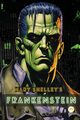 Frankenstein (Deluxe Hardbound Edition), Shelley Mary  Wollstonecraft