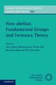 Non-abelian Fundamental Groups and Iwasawa Theory, 