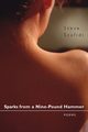 Sparks from a Nine-Pound Hammer, Scafidi Steve