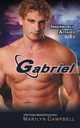 Gabriel (the Innerworld Affairs Series, Book 4), Campbell Marilyn