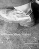 An Unseen Oxford, Grant Peter David