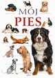 Mj Pies, 