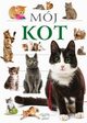 Mj Kot, 