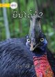 Can It Fly? ??????????, Kable Liz