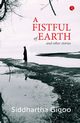 A Fistful of Earth and Other Stories, Gigoo Siddhartha