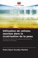 Utilisation de cellules souches dans la cicatrisation de la peau, Escobar Martins Pedro Djacir