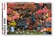 Puzzle 1000 Jesienne Impresje 5582, 