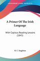 A Primer Of The Irish Language, 