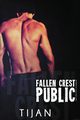 Fallen Crest Public, Tijan
