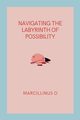 Navigating the Labyrinth of Possibility, O Marcillinus