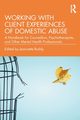 Working with Client Experiences of Domestic Abuse, 