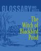 The Witch of Blackbird Pond Glossary and Notes, Books Heron