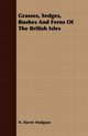 Grasses, Sedges, Rushes And Ferns Of The British Isles, Barrie Hodgson N.