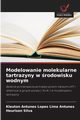 Modelowanie molekularne tartrazyny w rodowisku wodnym, Antunes Kleuton Antunes Lopes Lima
