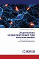 Endogennaya neyroprotektsiya pri ishemii mozga, Shmonin Aleksey Andreevich