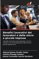 Benefici lavorativi dei lavoratori e delle micro e piccole imprese, Pandia Ya?ez Edward Jimmy