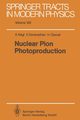 Nuclear Pion Photoproduction, Nagl Anton