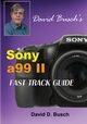 DAVID BUSCH'S  Sony Alpha a99 II FAST TRACK GUIDE, Busch David