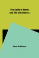 The Spirit of Youth and the City Streets, Addams Jane