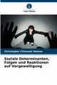 Soziale Determinanten, Folgen und Reaktionen auf Vergewaltigung, Ibekwe Christopher Chimaobi