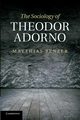 The Sociology of Theodor Adorno, Benzer Matthias