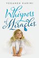 Whispers of Miracles, Karimi Yeganeh