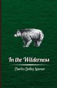 In The Wilderness, Warner Charles Dudley
